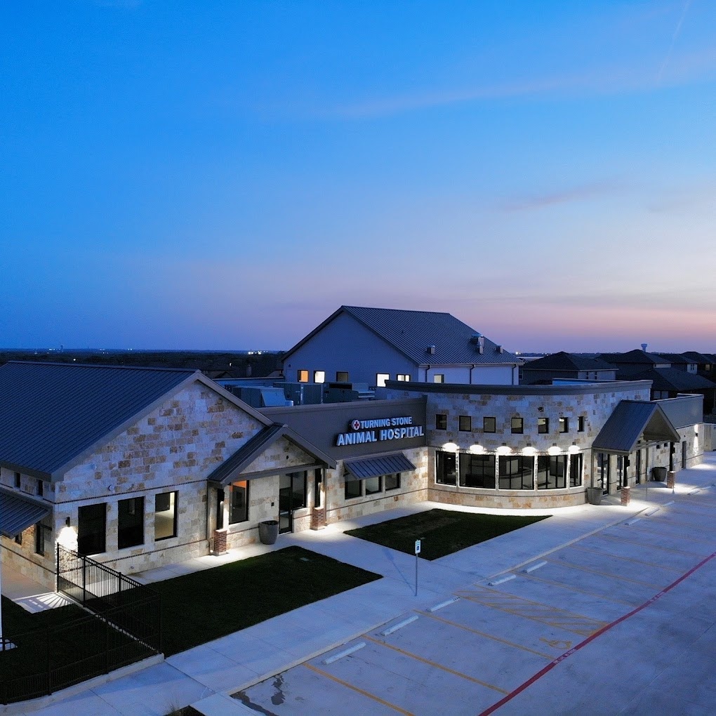 Turning Stone Animal Hospital photo