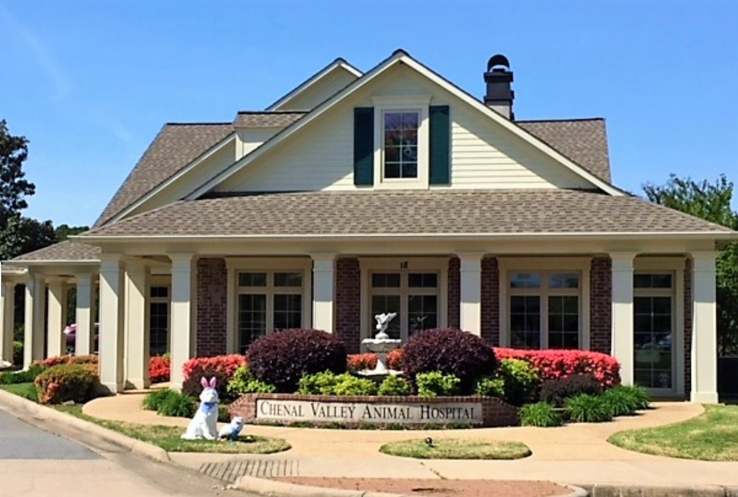 Chenal Valley Animal Hospital photo