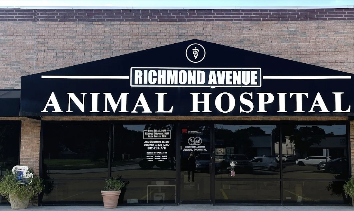 Richmond Avenue Animal Hospital photo