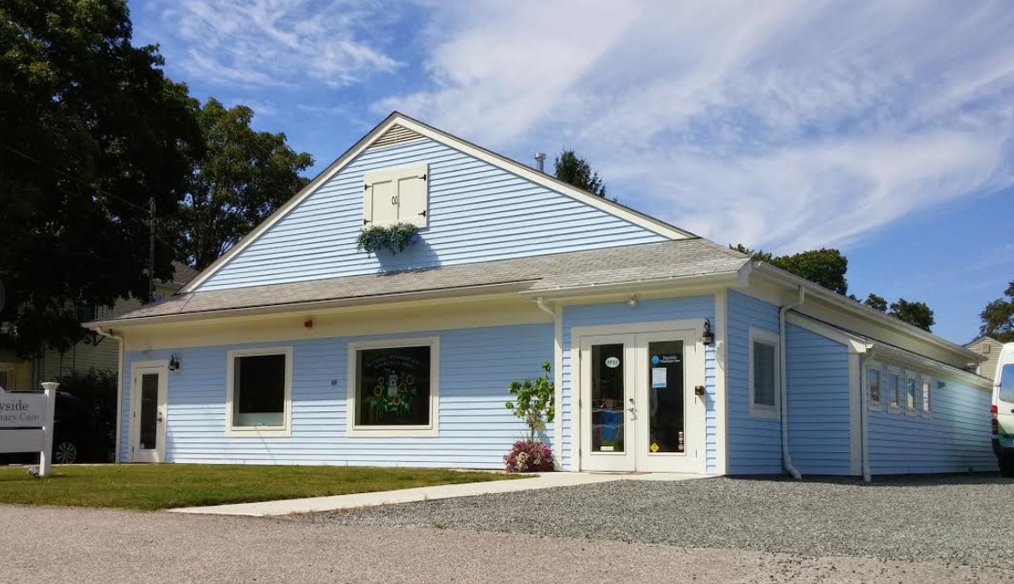 Bayside Veterinary Care photo