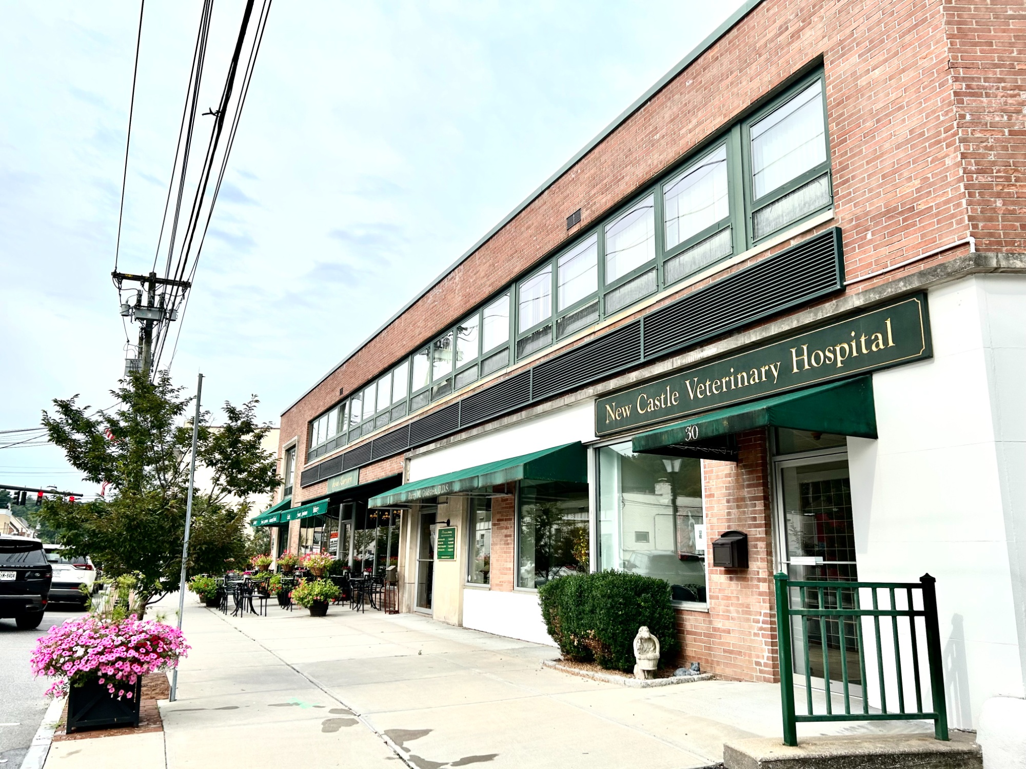 New Castle Veterinary Hospital photo