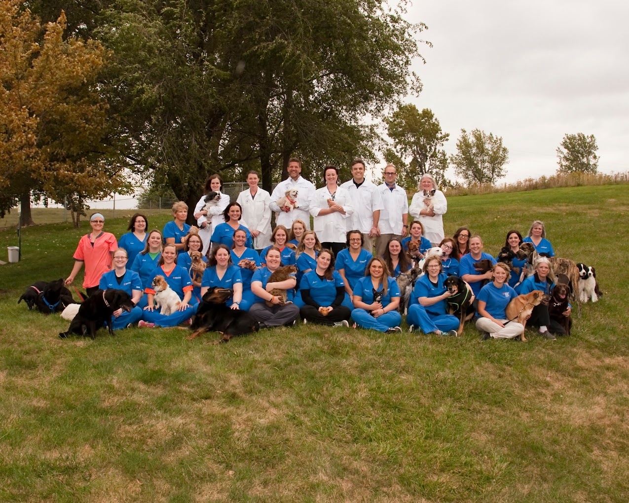Animal Family Veterinary Care Center photo