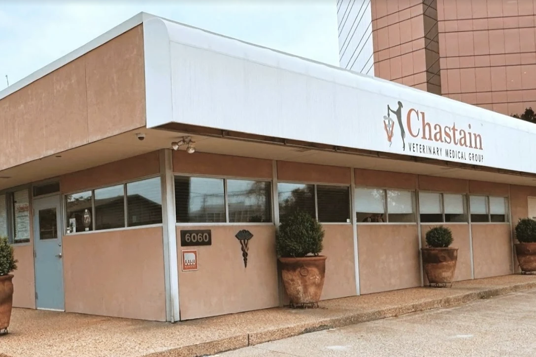 Preston Road Animal Hospital photo