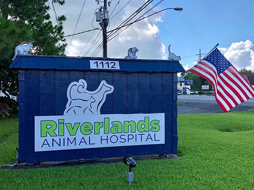 Riverlands Animal Hospital photo