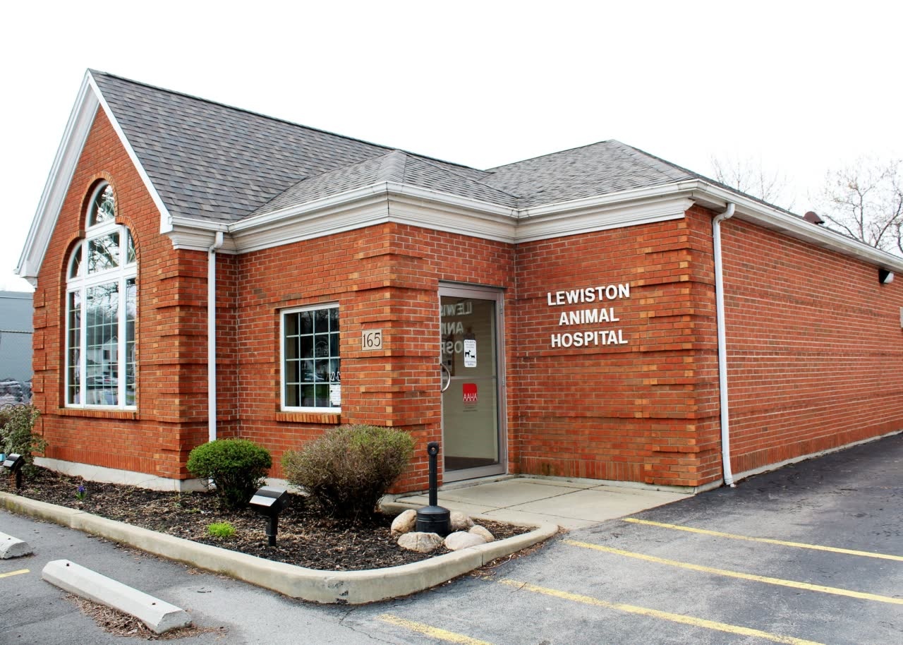 Lewiston Animal Hospital photo