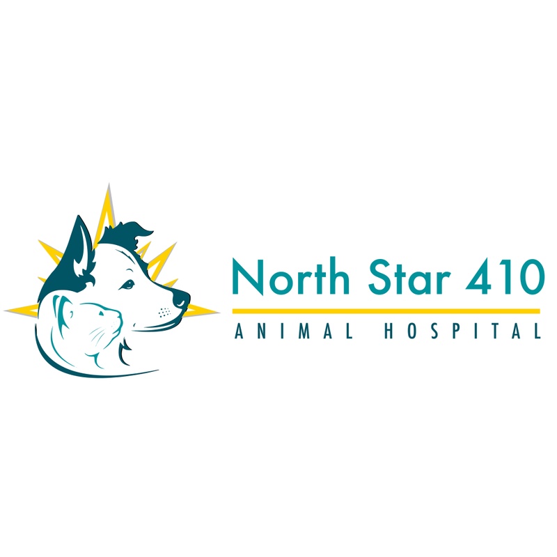 North Star 410 Animal Hospital photo