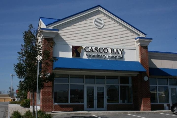 Casco Bay Veterinary Hospital photo