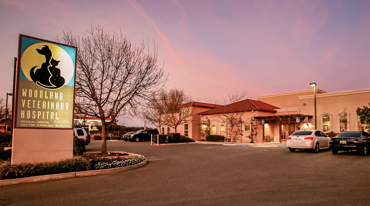 Woodland Veterinary Hospital photo