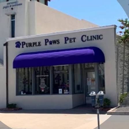 Purple Paws Pet Clinic photo