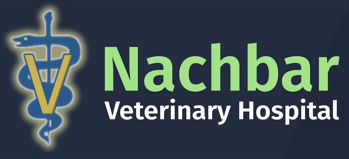 Nachbar Veterinary Hospital photo