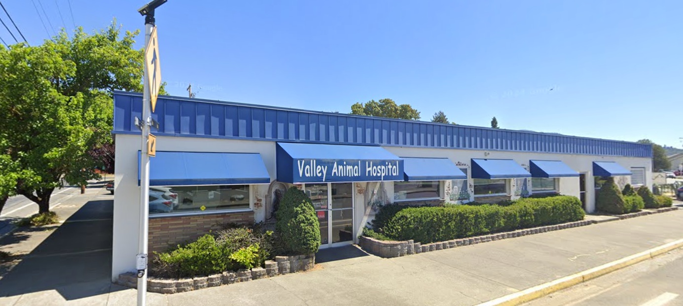 Valley Animal Hospital  photo