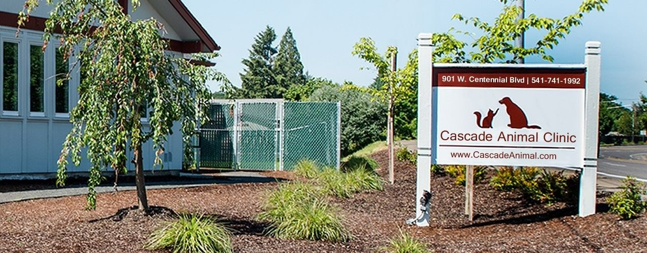 Cascade Animal Clinic photo