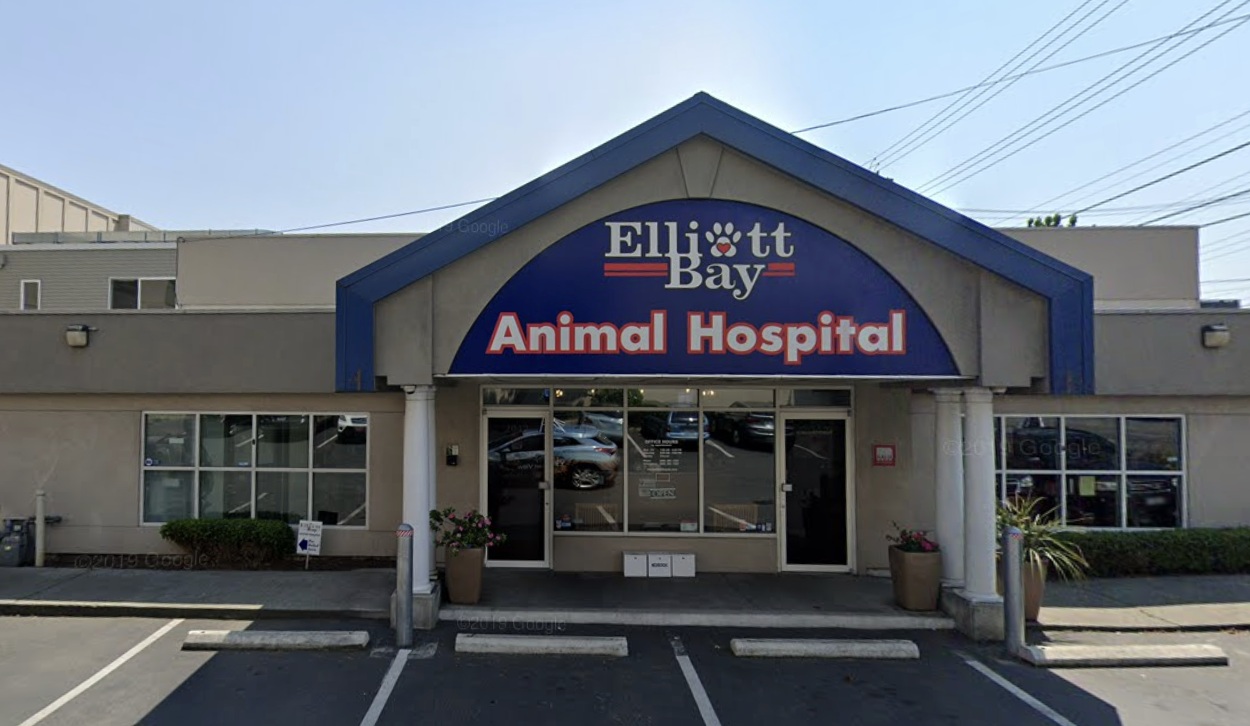 Elliott Bay Animal Hospital photo