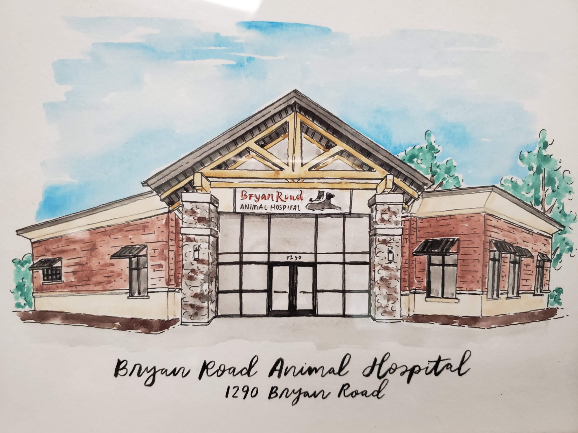 Bryan Road Animal Hospital photo