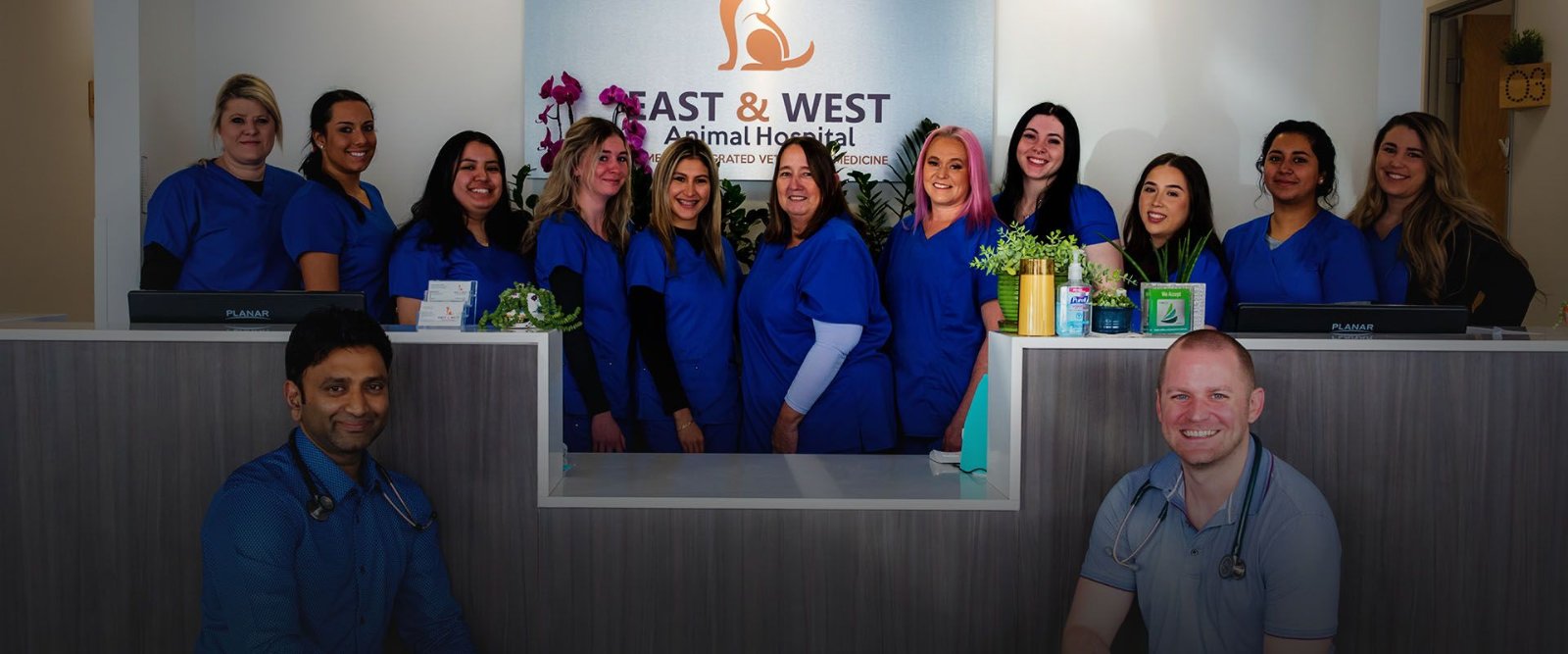 East & West Animal Hospital photo