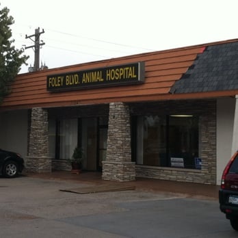Foley Boulevard Animal Hospital photo