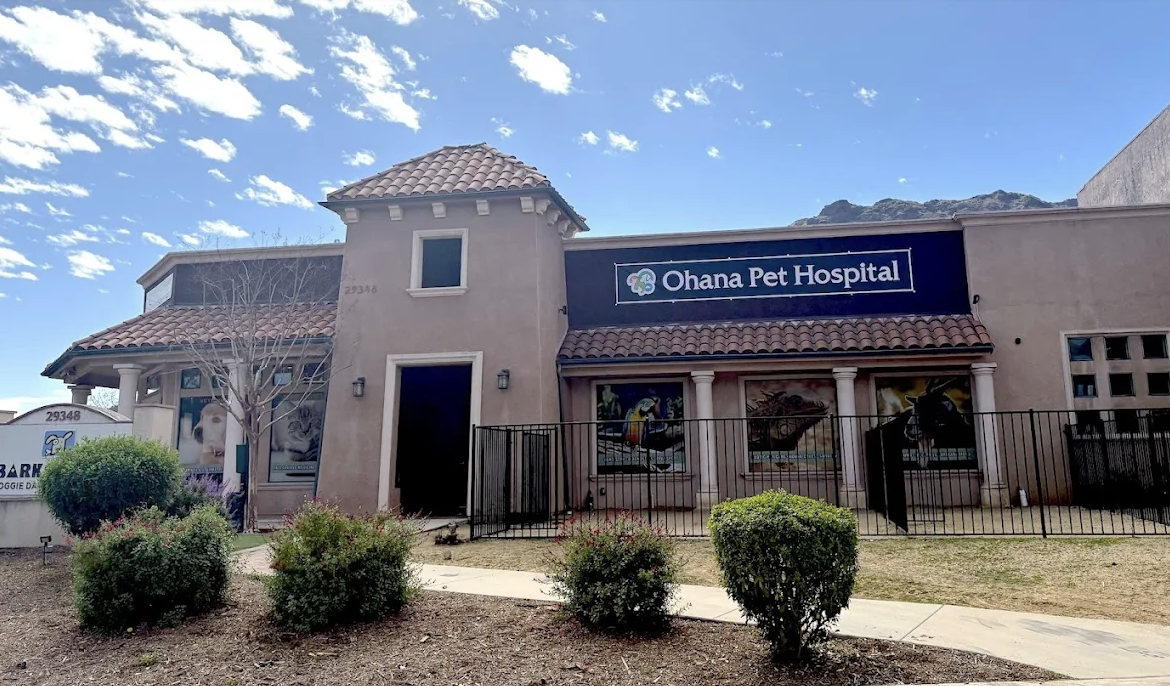 Ohana Pet Hospital of Agoura Hills photo