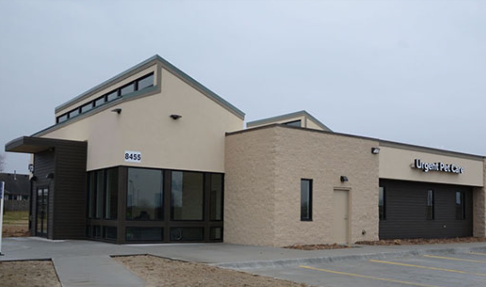 Papillion photo