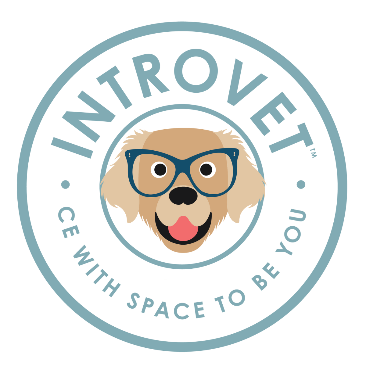 IntroVet photo