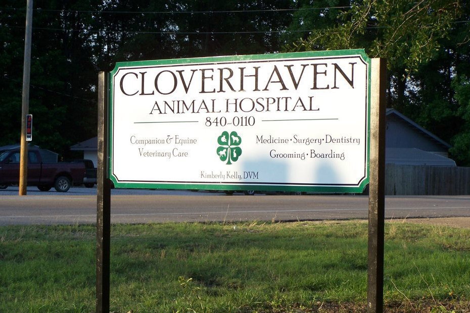 Cloverhaven Animal Hosptial photo