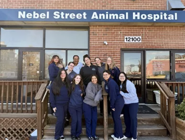 Nebel Street Animal Hospital photo