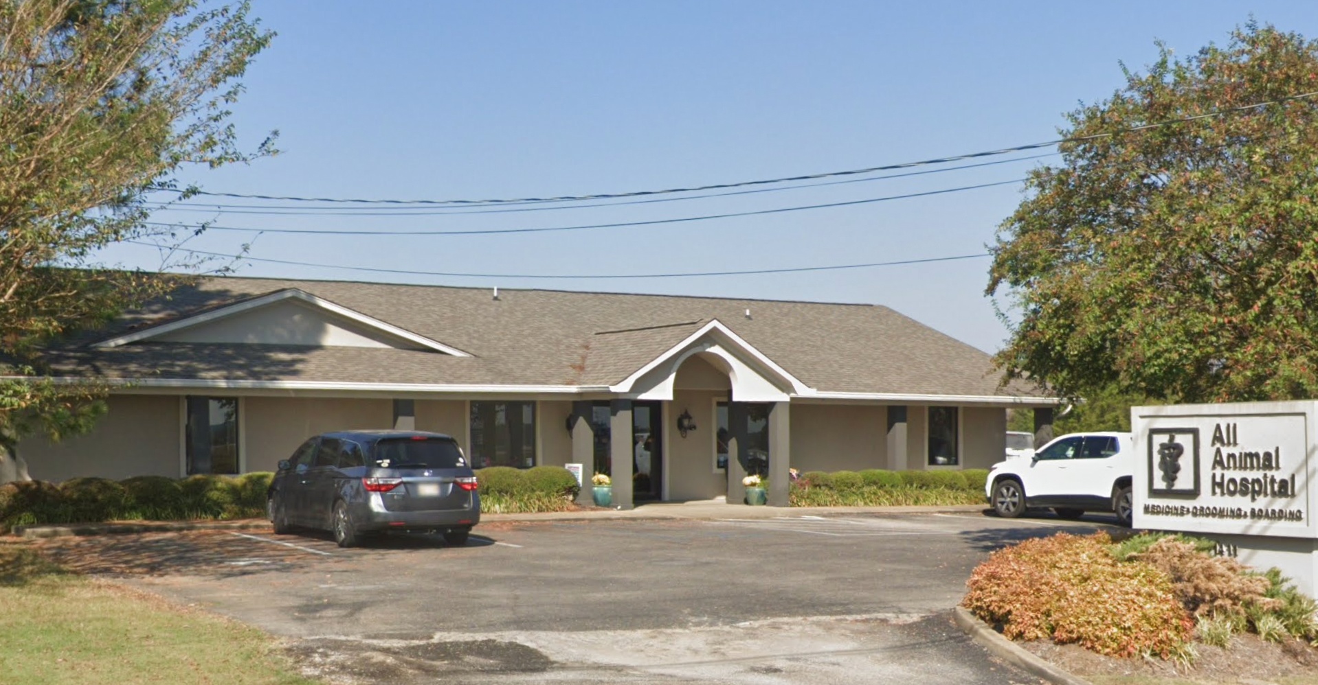 All Animal Hospital photo