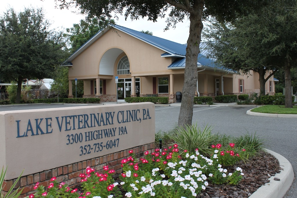 Lake Veterinary Clinic photo