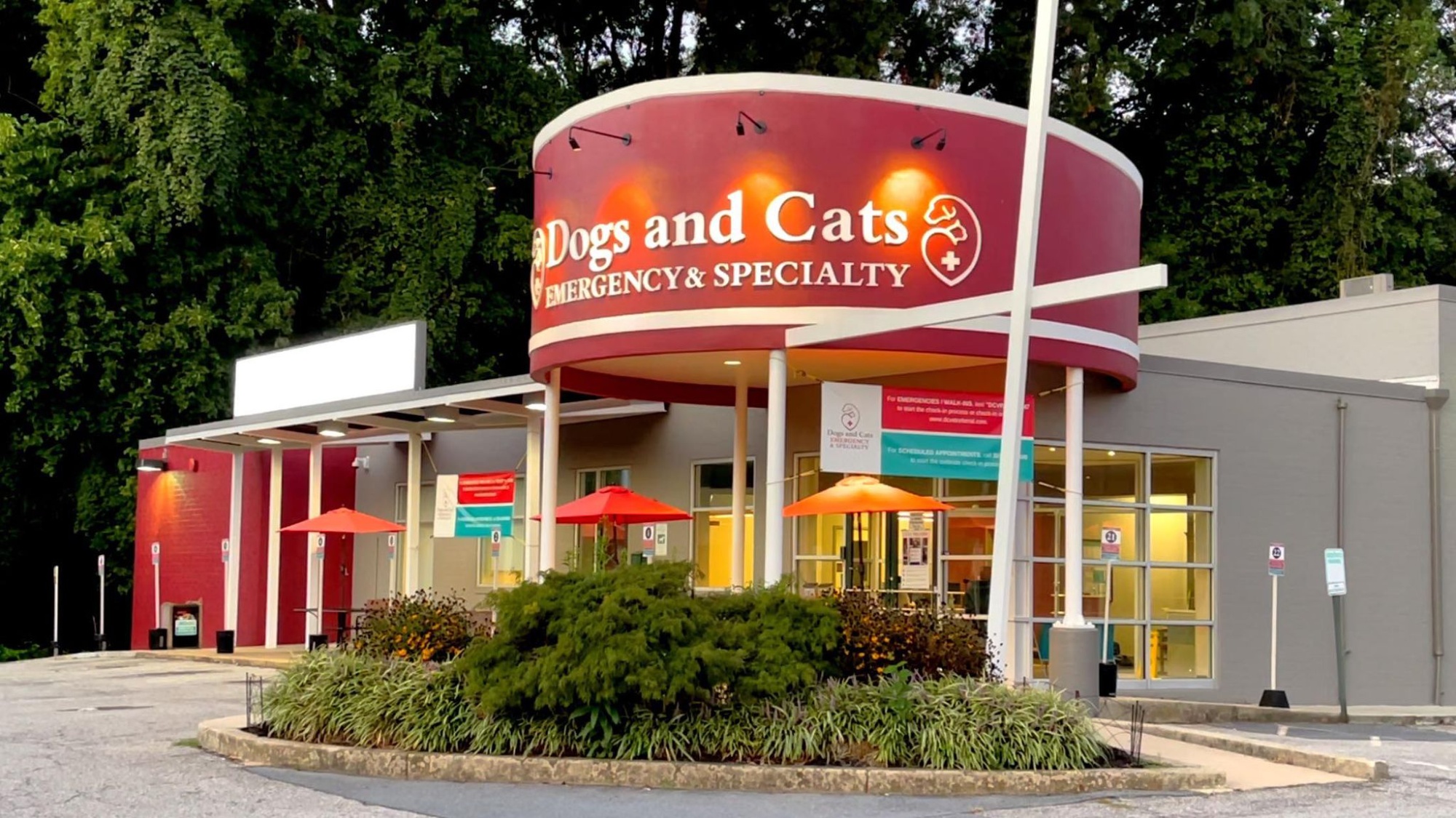 Dogs and Cats Veterinary Emergency and Specialty (DCES) photo