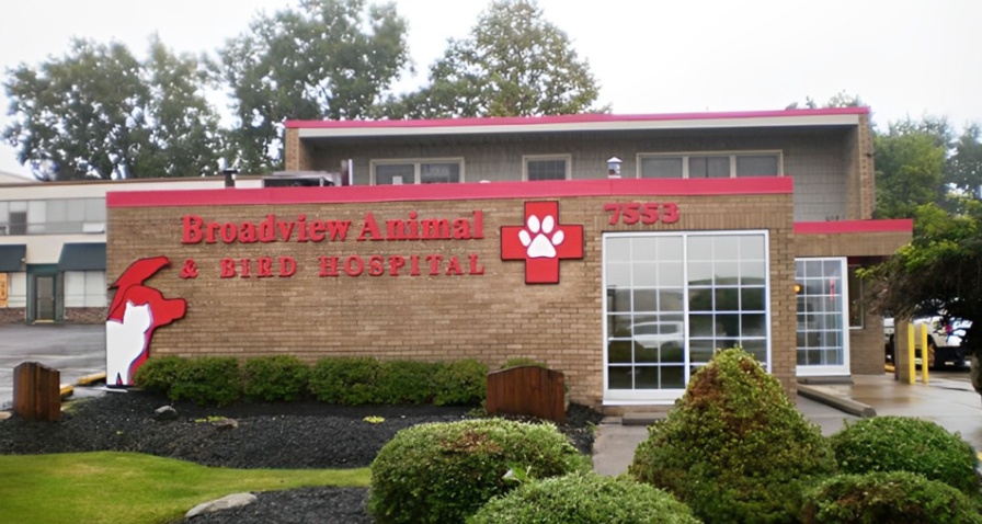Broadview Animal & Bird Hospital photo