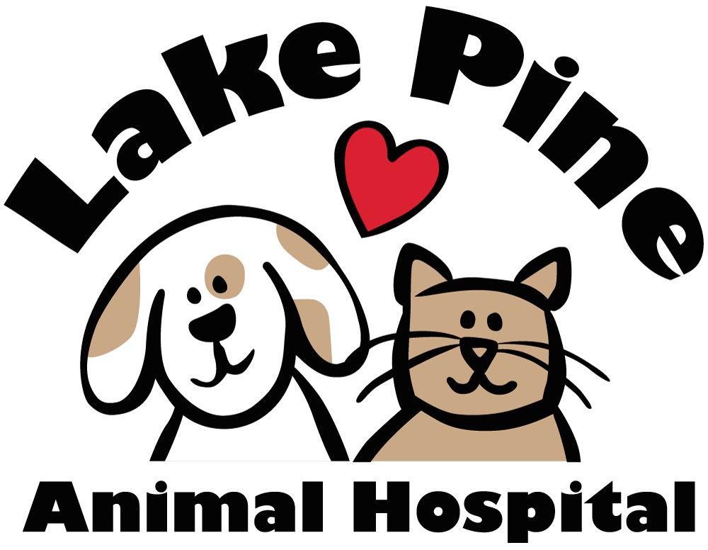 Lake Pine Animal Hospital photo