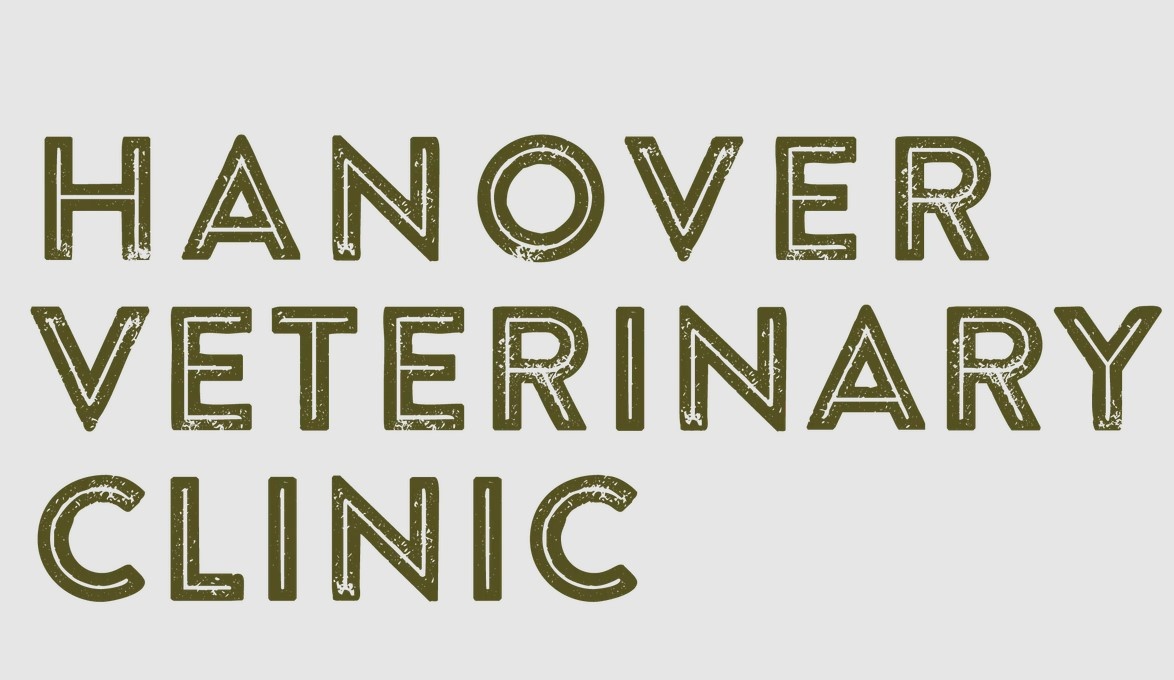 Hanover Veterinary Clinic photo