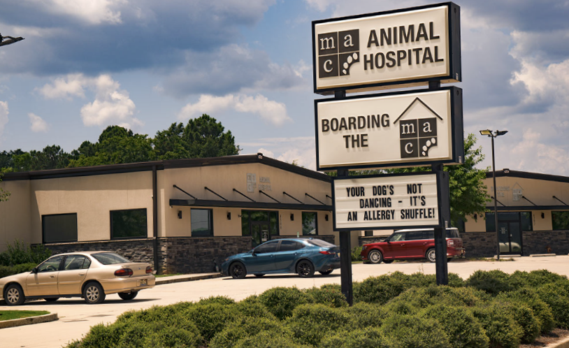 MAC Animal Hospital photo