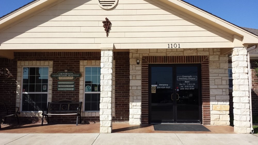 Crossroads Veterinary Hospital photo