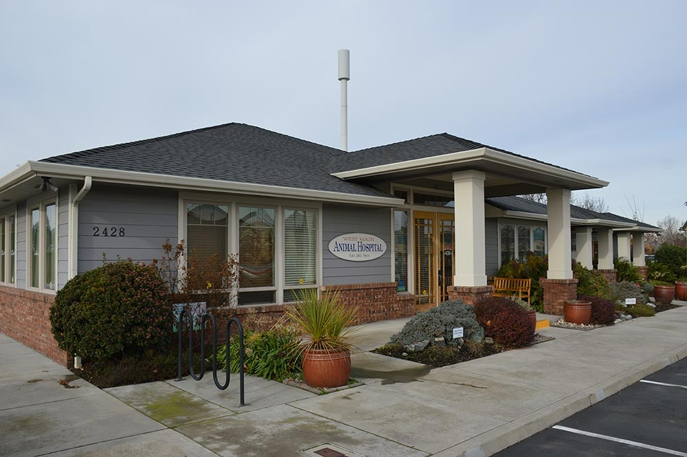 West Main Animal Hospital photo