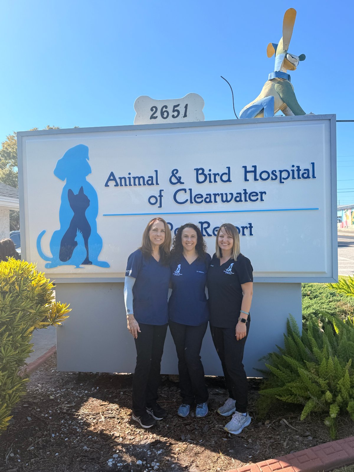 Animal and Bird Hospital of Clearwater photo