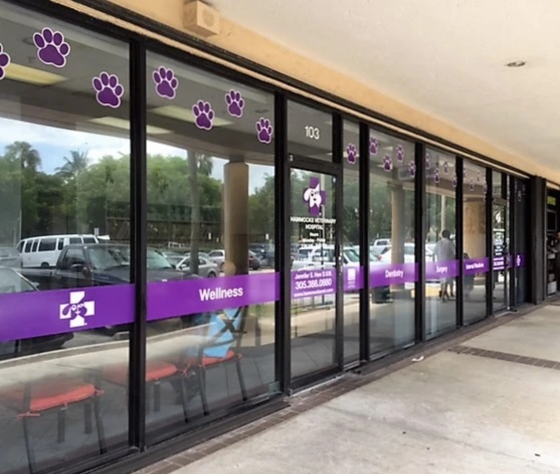 Hammocks Veterinary Hospital photo