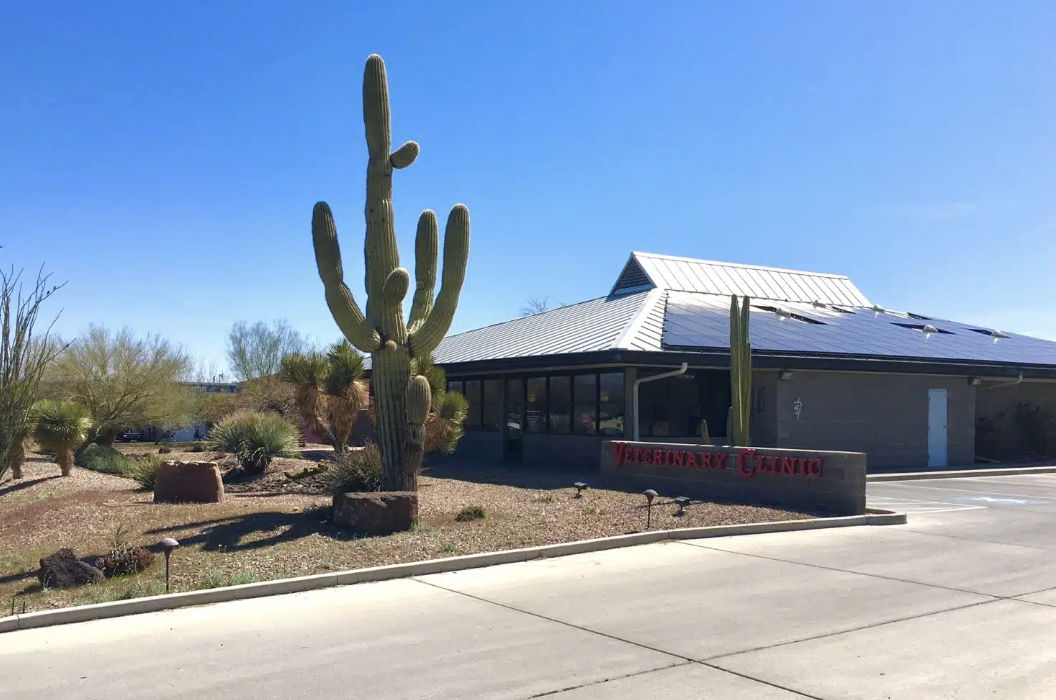 Wickenburg Veterinary Clinic photo