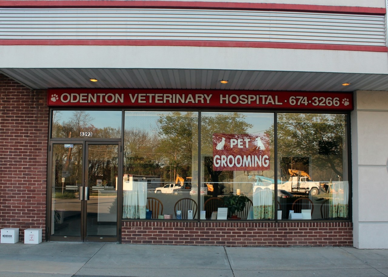 Odenton Veterinary Hospital photo