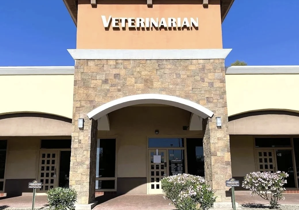 Cobblestone Veterinary Care photo