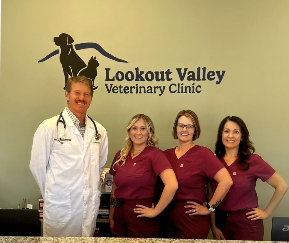 Lookout Valley Veterinary Clinic photo