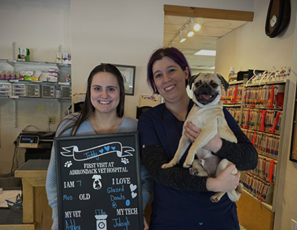 Adirondack Veterinary Hospital photo