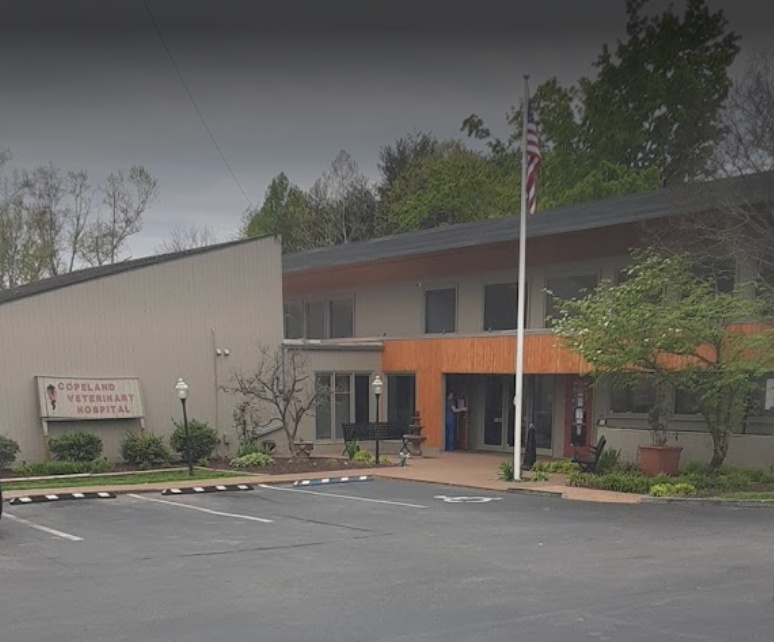 Copeland Veterinary Hospital photo
